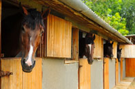 free Broadoak End stable construction quotes